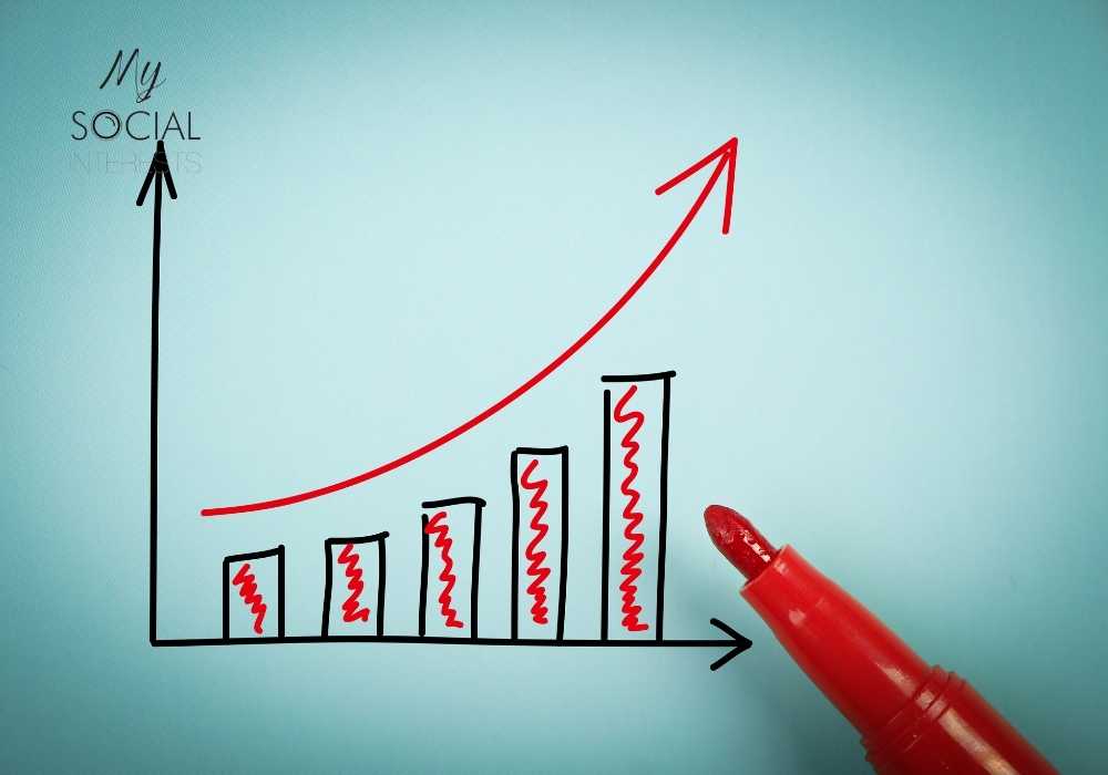 website growth with SEO audit