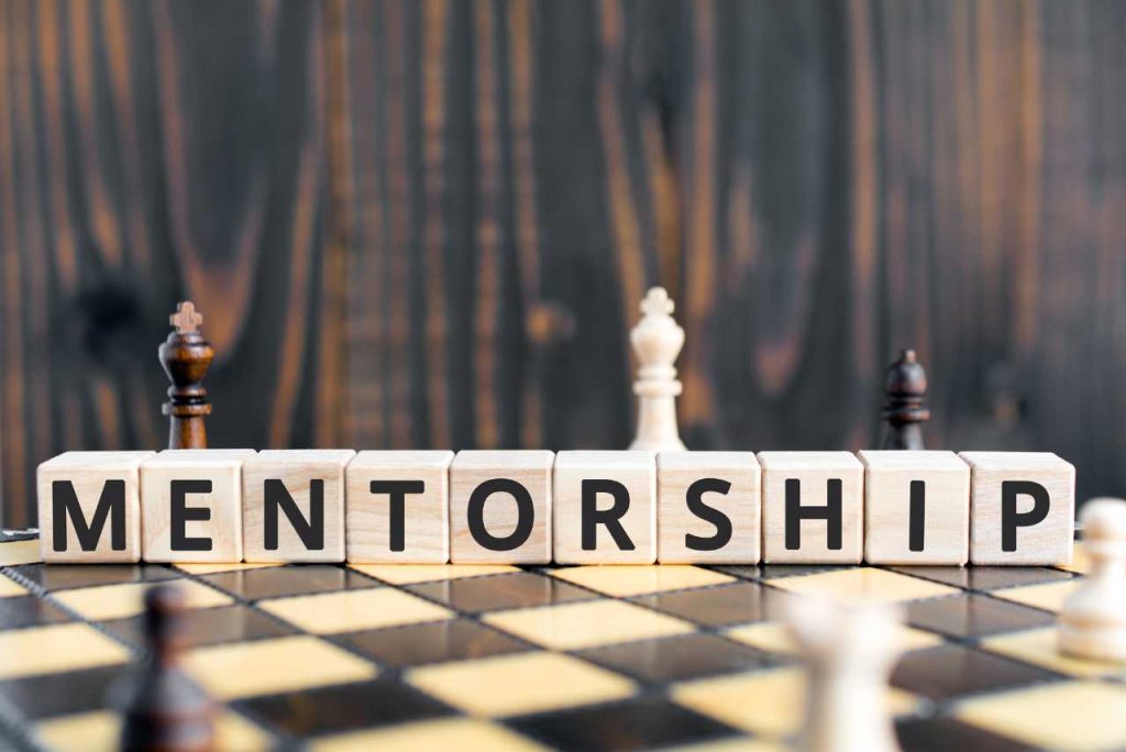 SEO mentorship