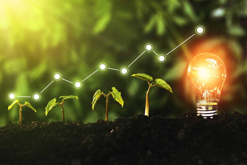 online business growth